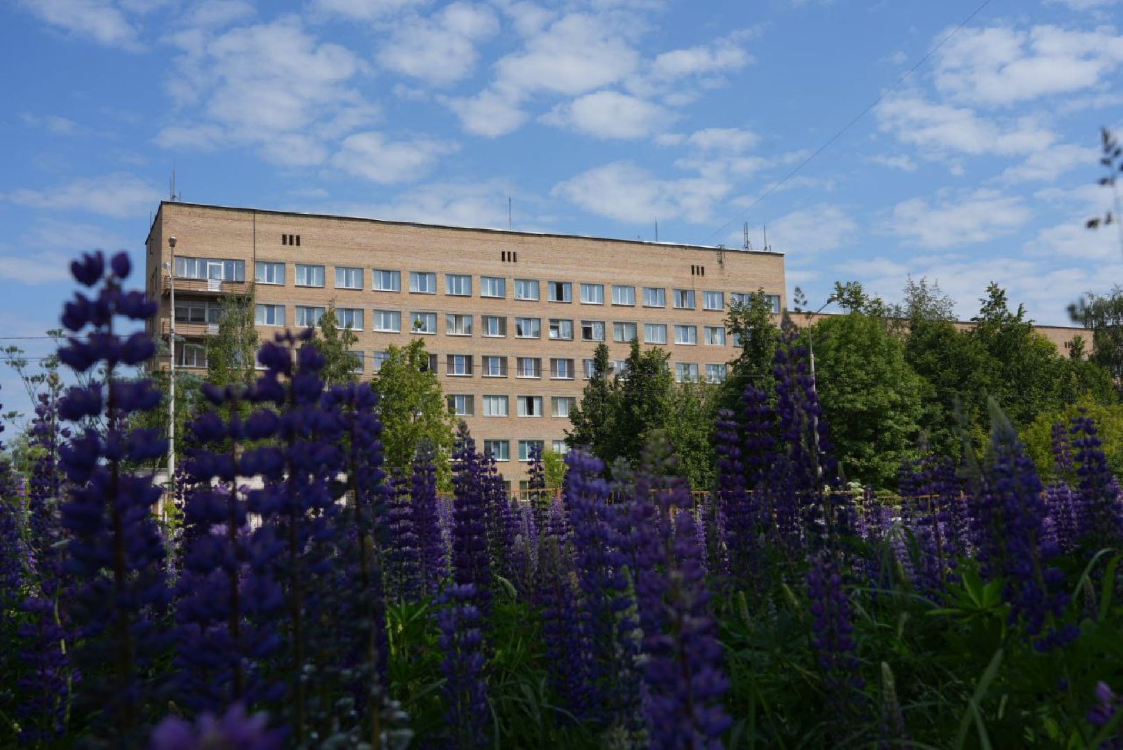 Сергиев Посад, Сергиево-Посадский городской округ, Медицина, Врачи, Здравоохранения, Люди, Здоровье