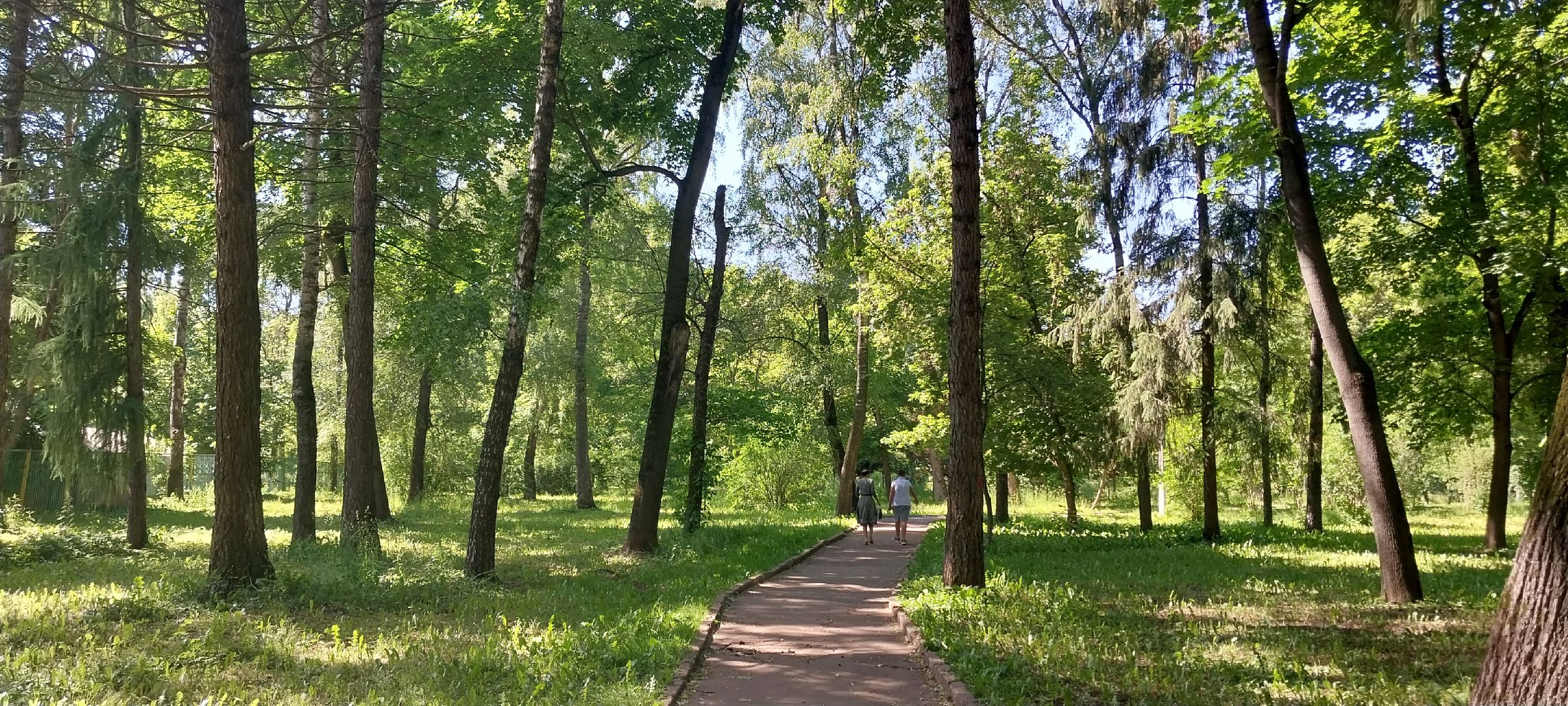 коломна, тополиныйпух, аллергия