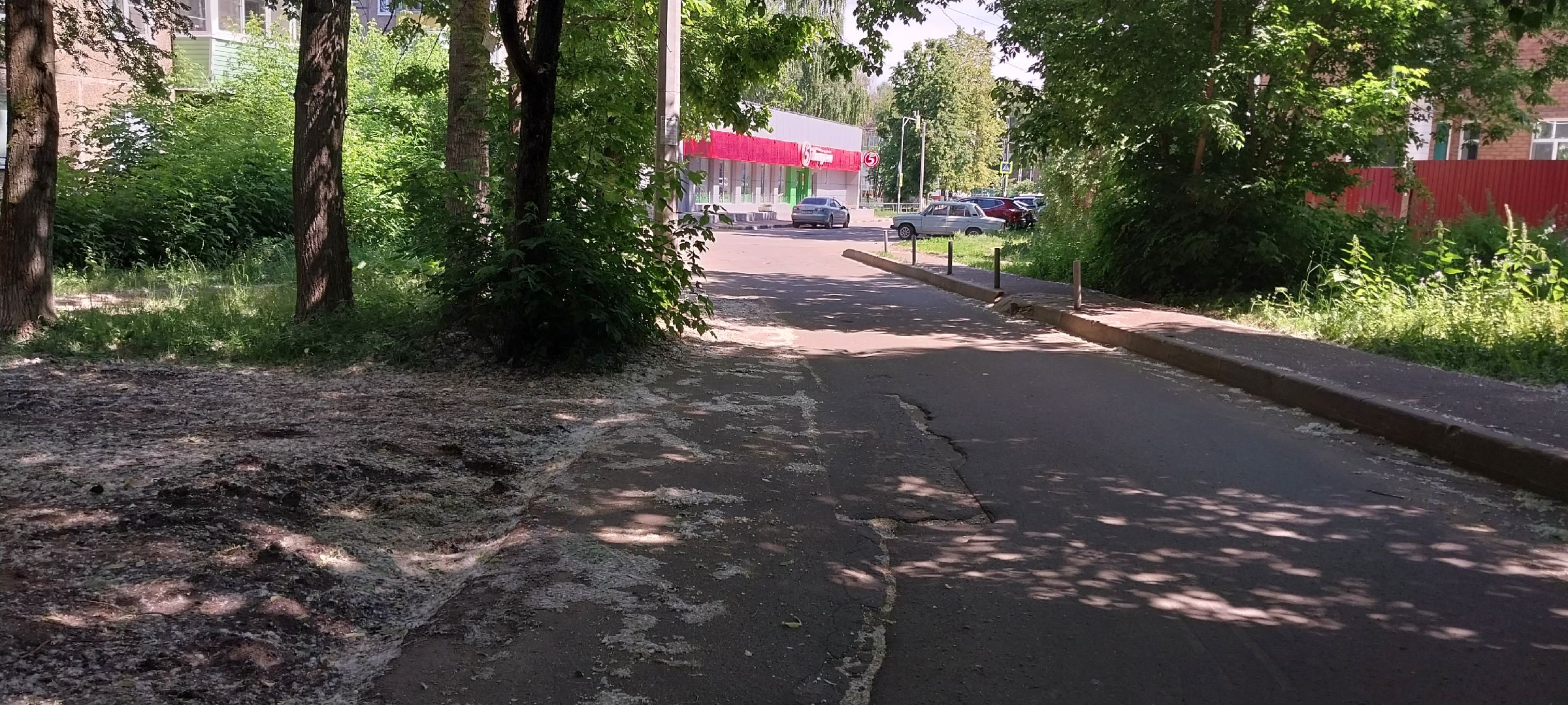 коломна, тополиныйпух, аллергия