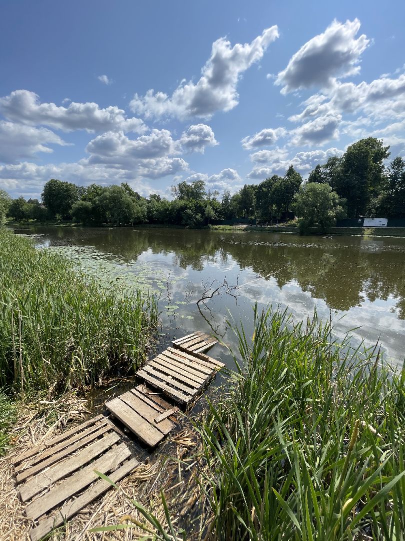 Одинцово, Немчиновка, экология, министерство экологии и природопользования, пруд, очистка,