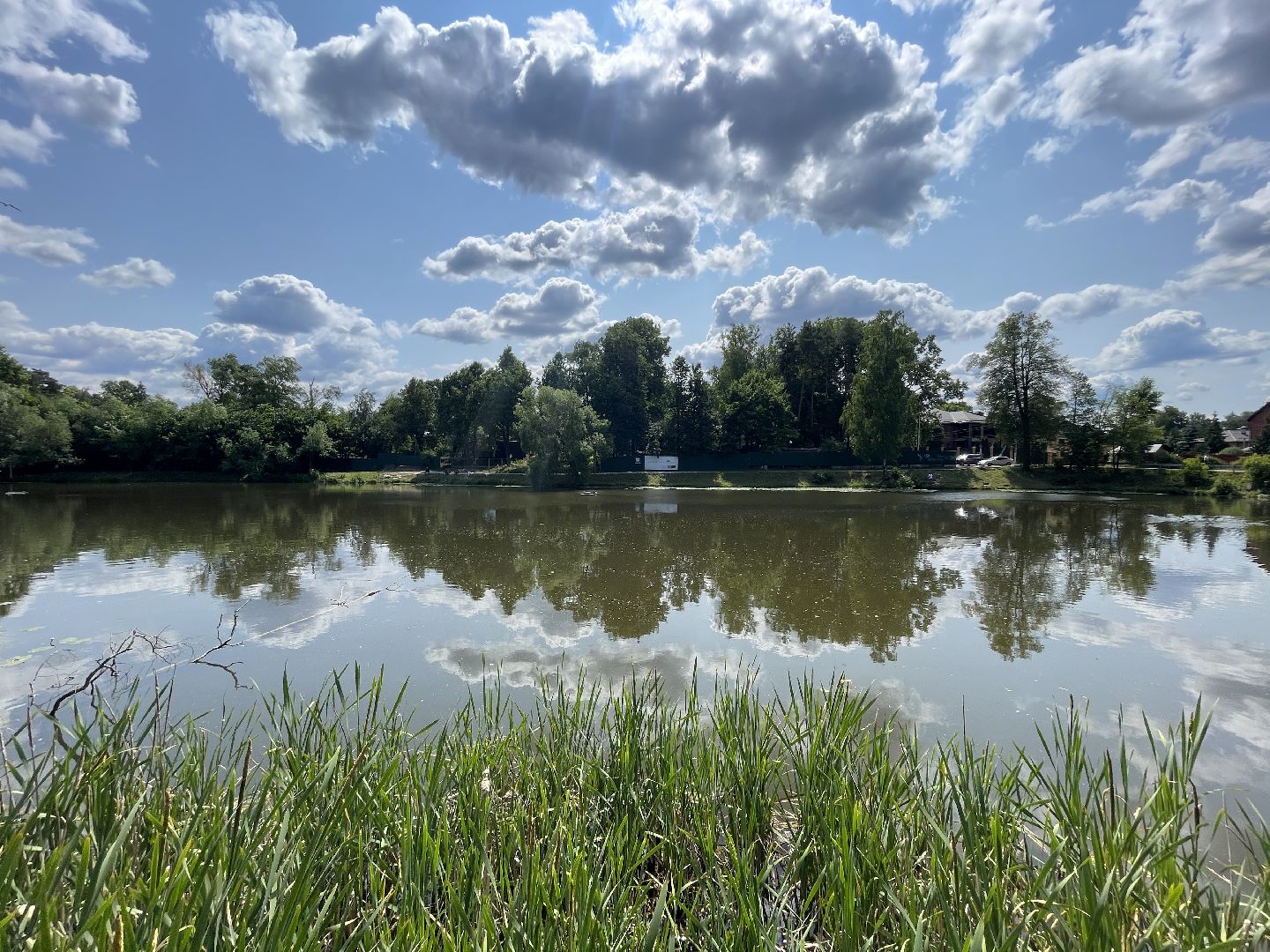 Одинцово, Немчиновка, экология, министерство экологии и природопользования, пруд, очистка,