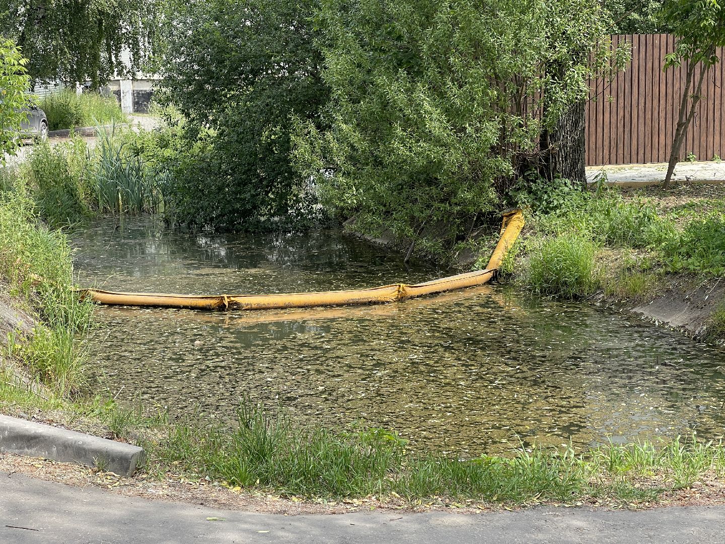 Одинцово, Немчиновка, экология, министерство экологии и природопользования, пруд, очистка,