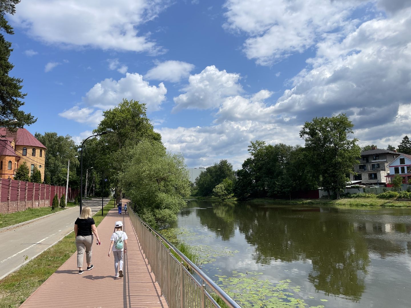 Одинцово, Немчиновка, экология, министерство экологии и природопользования, пруд, очистка,