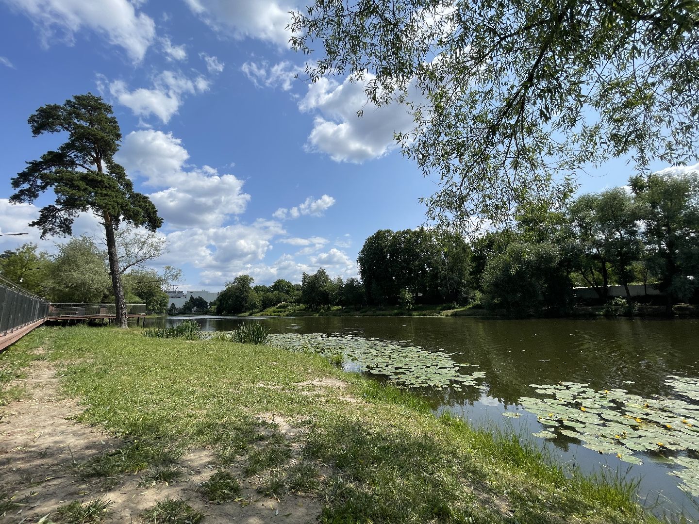 Одинцово, Немчиновка, экология, министерство экологии и природопользования, пруд, очистка,