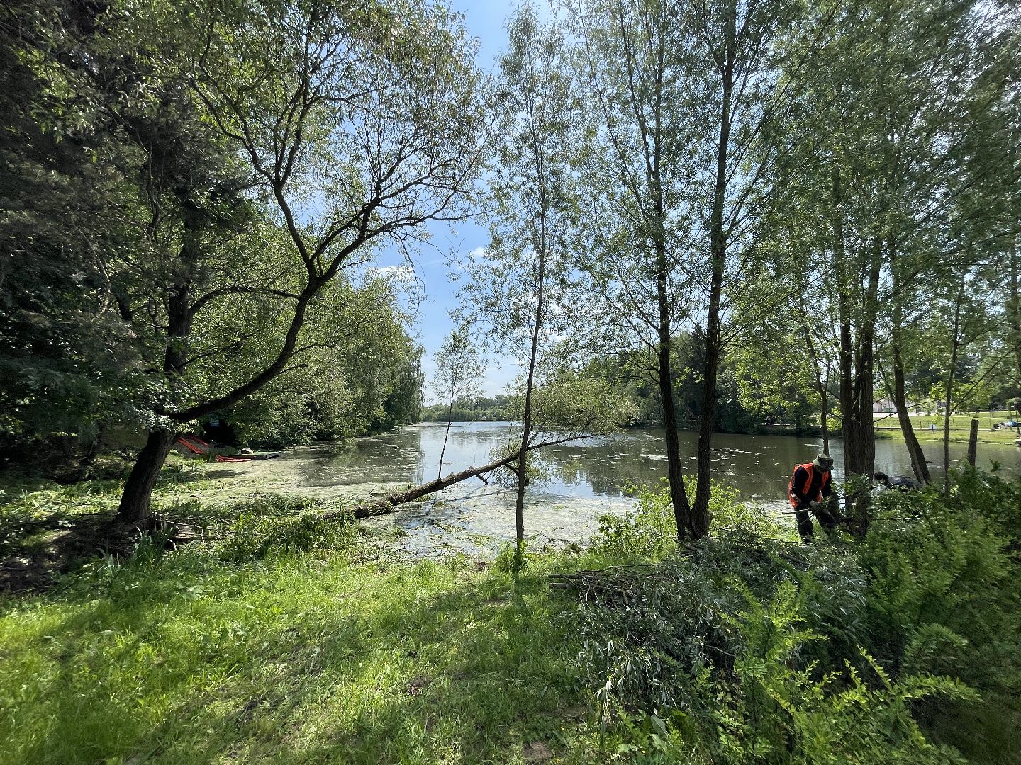 Одинцово, Захарово, экология, министерство экологии и природопользования, пруд, очистка,