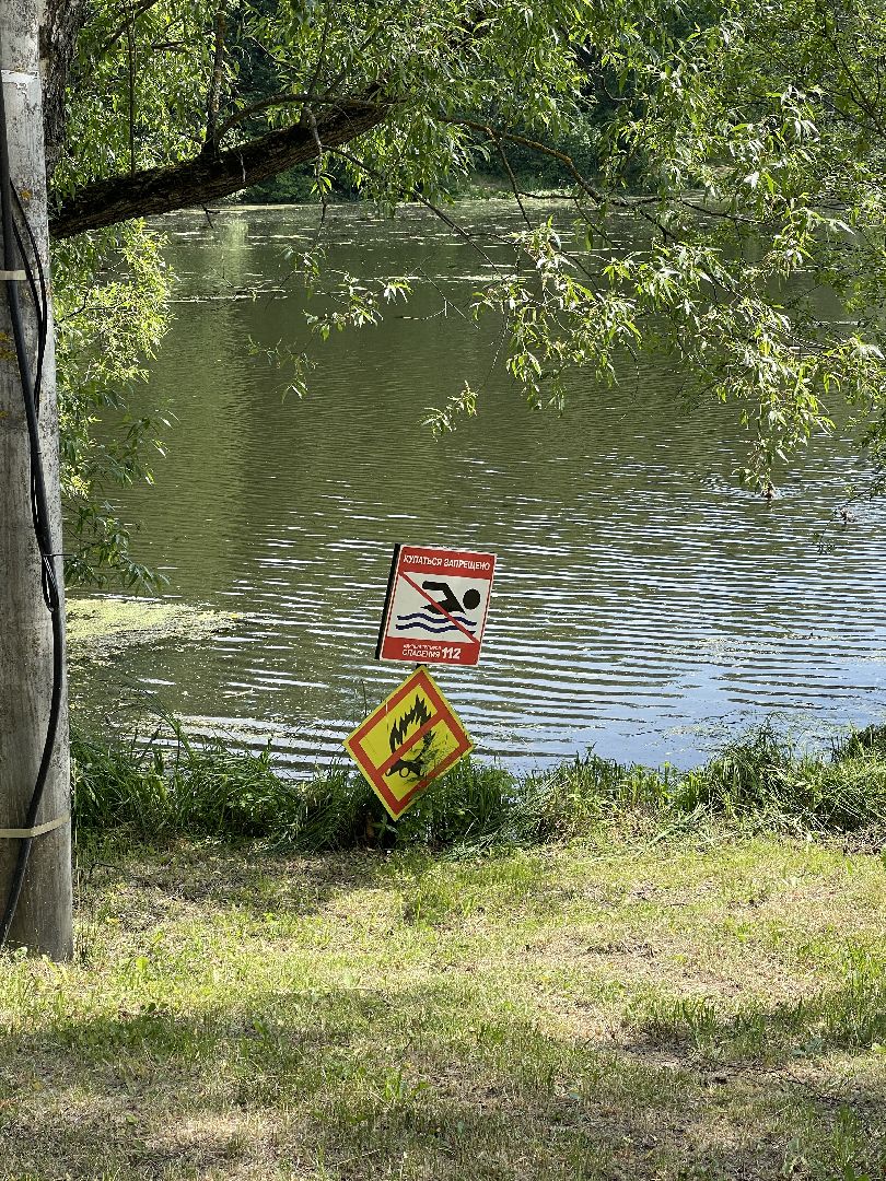 Одинцово, Захарово, экология, министерство экологии и природопользования, пруд, очистка,