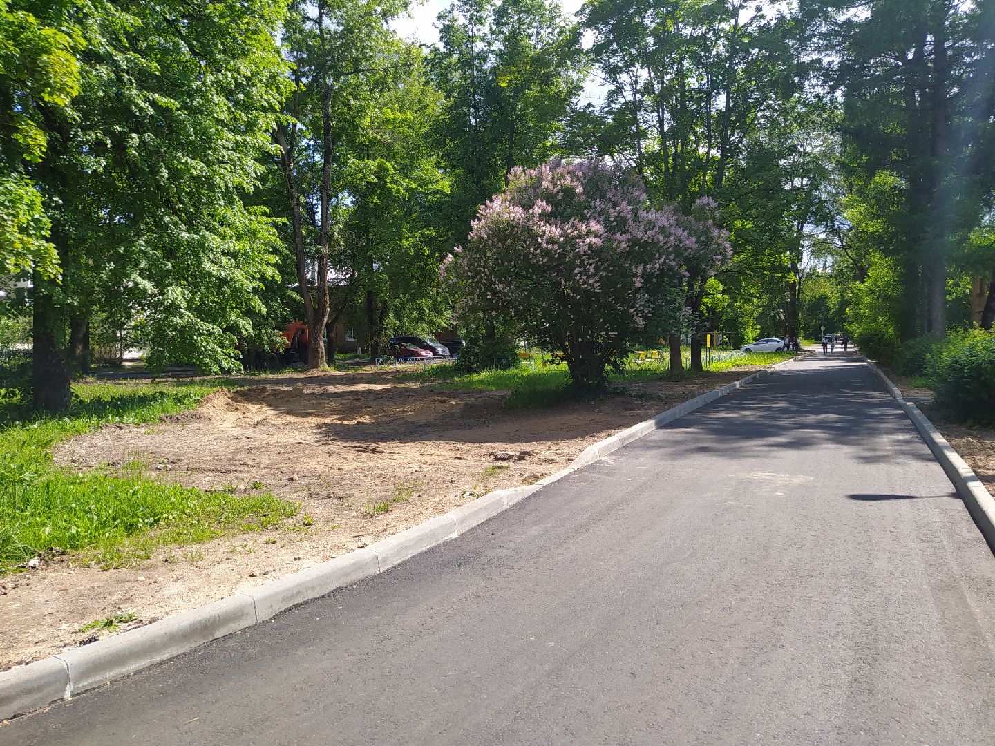 Дедовск, благоустройство, дворы,