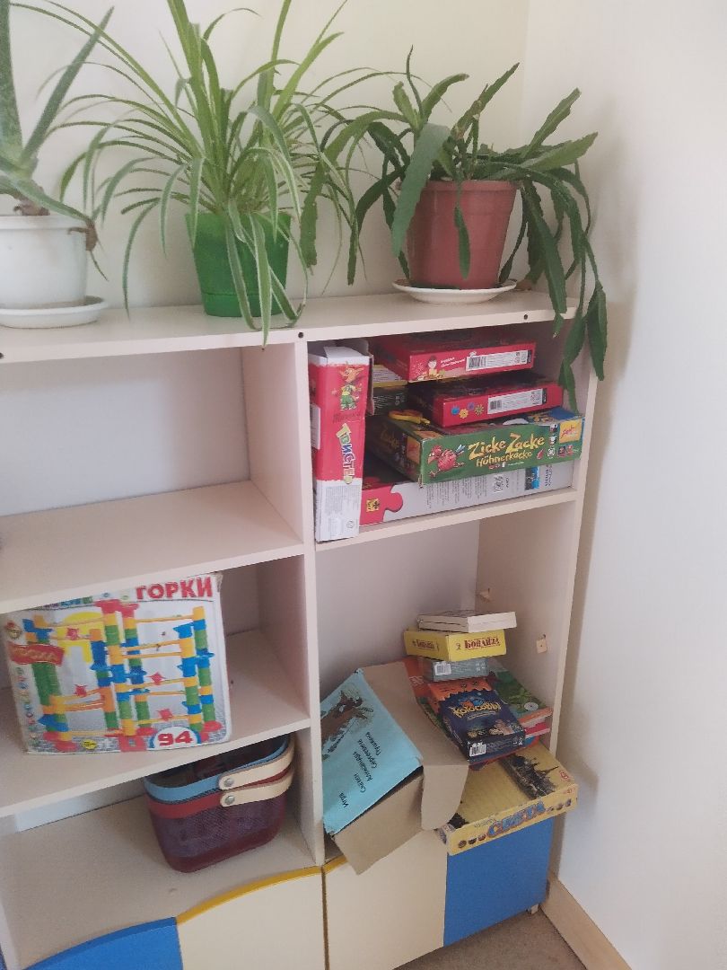 Долгопрудный, летние лагеря, дети, школа, театр