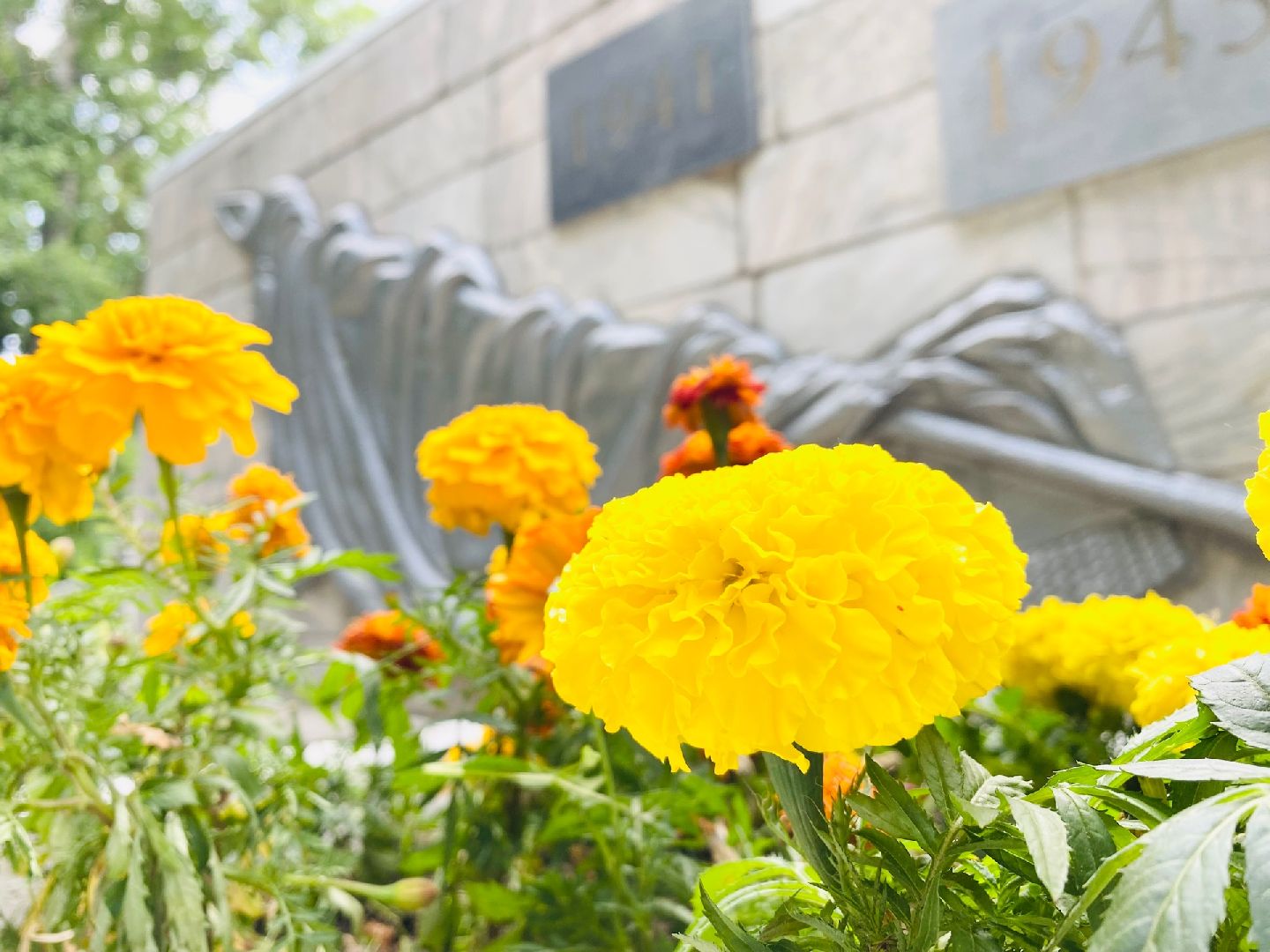 Домодедово, благоустройство, памятник, обелиск, уборка территории