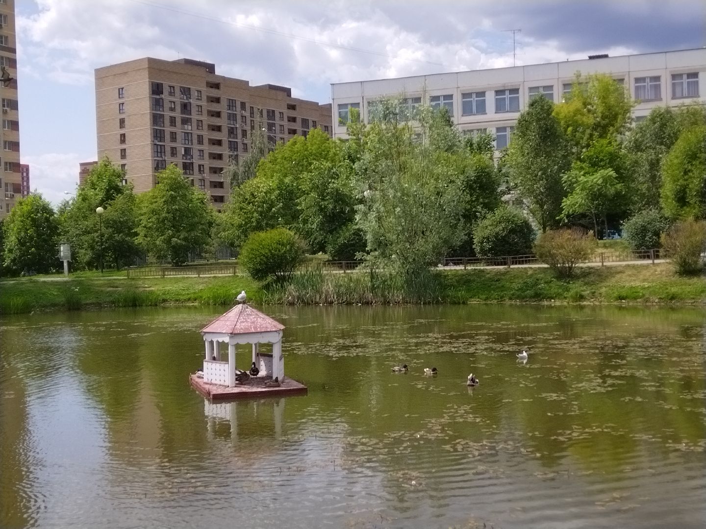 Утиный домик, Мытищи, Колпакова