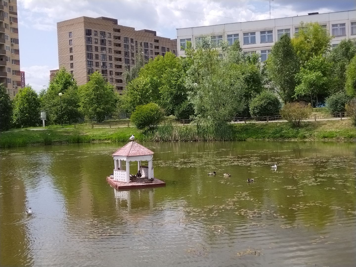 Утиный домик, Мытищи, Колпакова