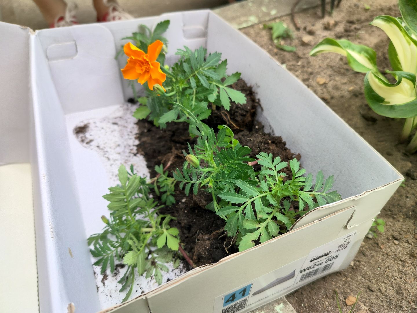 библиотека, Протвино, общество, культура, дети