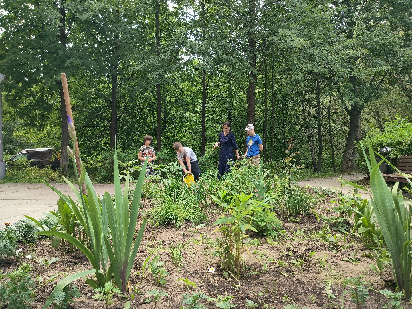 библиотека, Протвино, общество, культура, дети