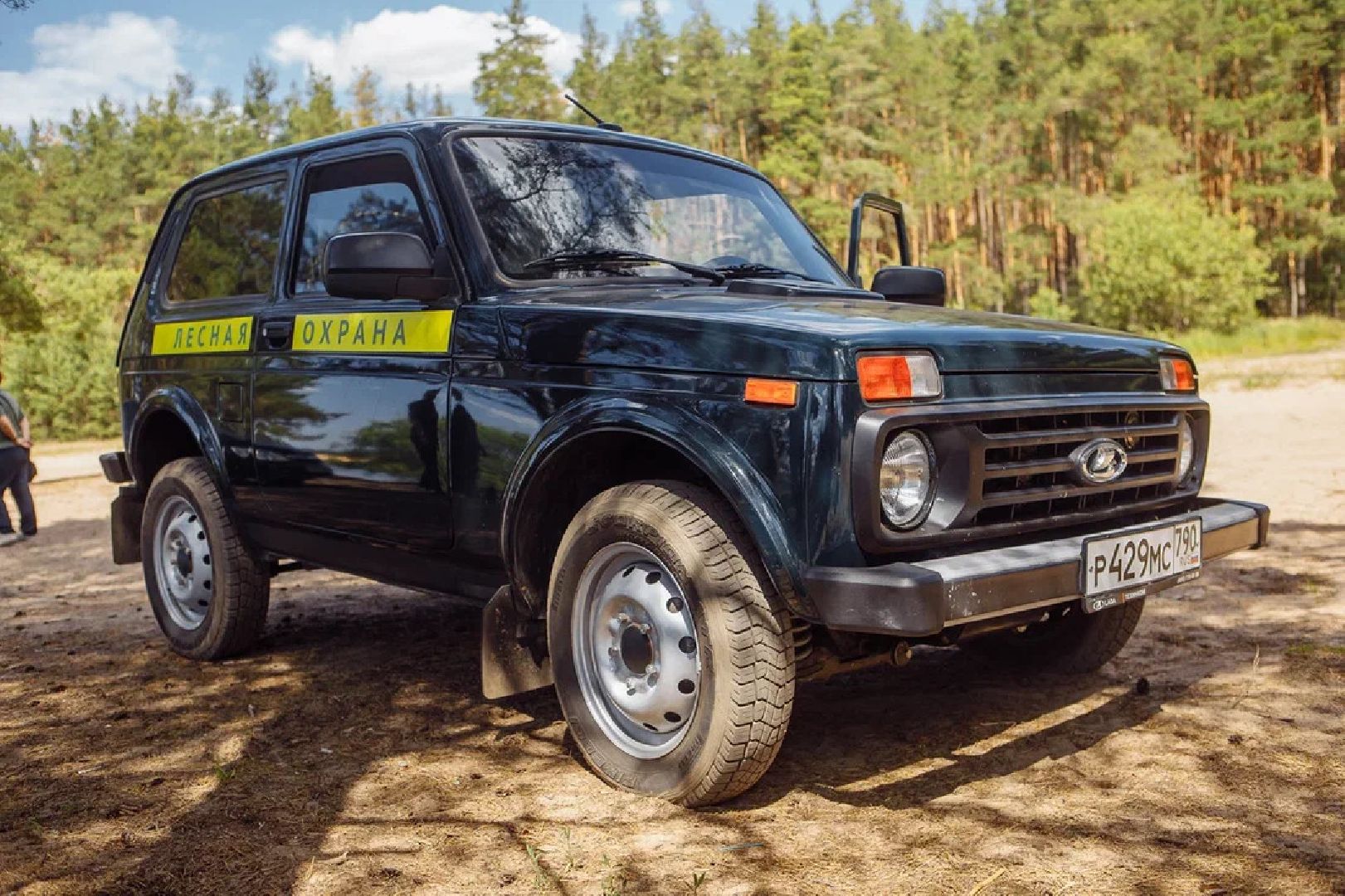 Пожары, казаки, конные патрули, экология, безопасность, Орехово-Зуево, лесничие