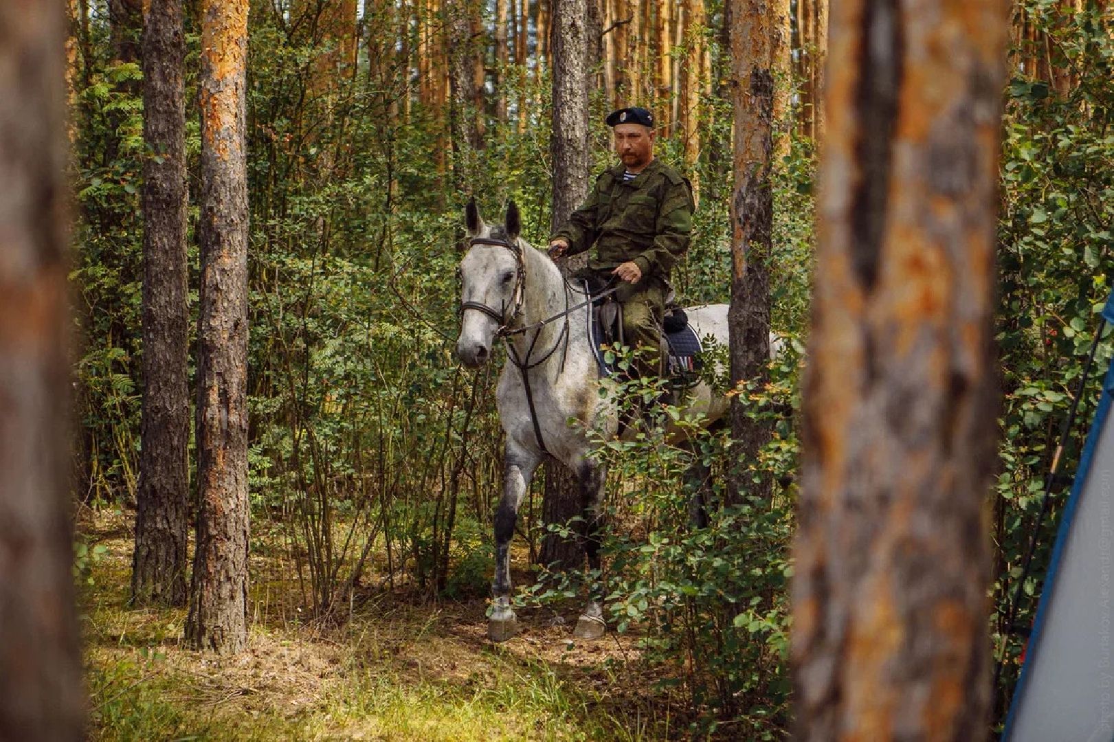 Пожары, казаки, конные патрули, экология, безопасность, Орехово-Зуево, лесничие