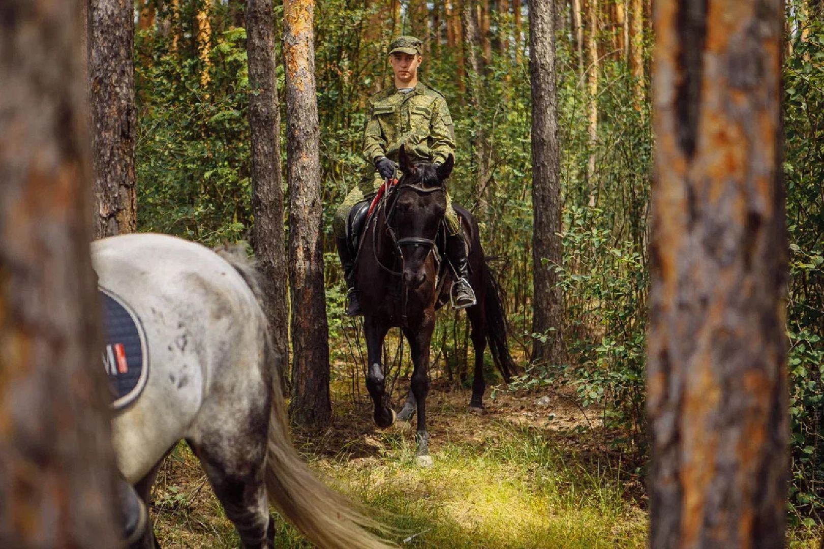 Пожары, казаки, конные патрули, экология, безопасность, Орехово-Зуево, лесничие