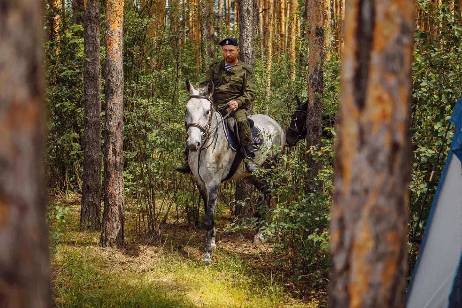 Пожары, казаки, конные патрули, экология, безопасность, Орехово-Зуево, лесничие