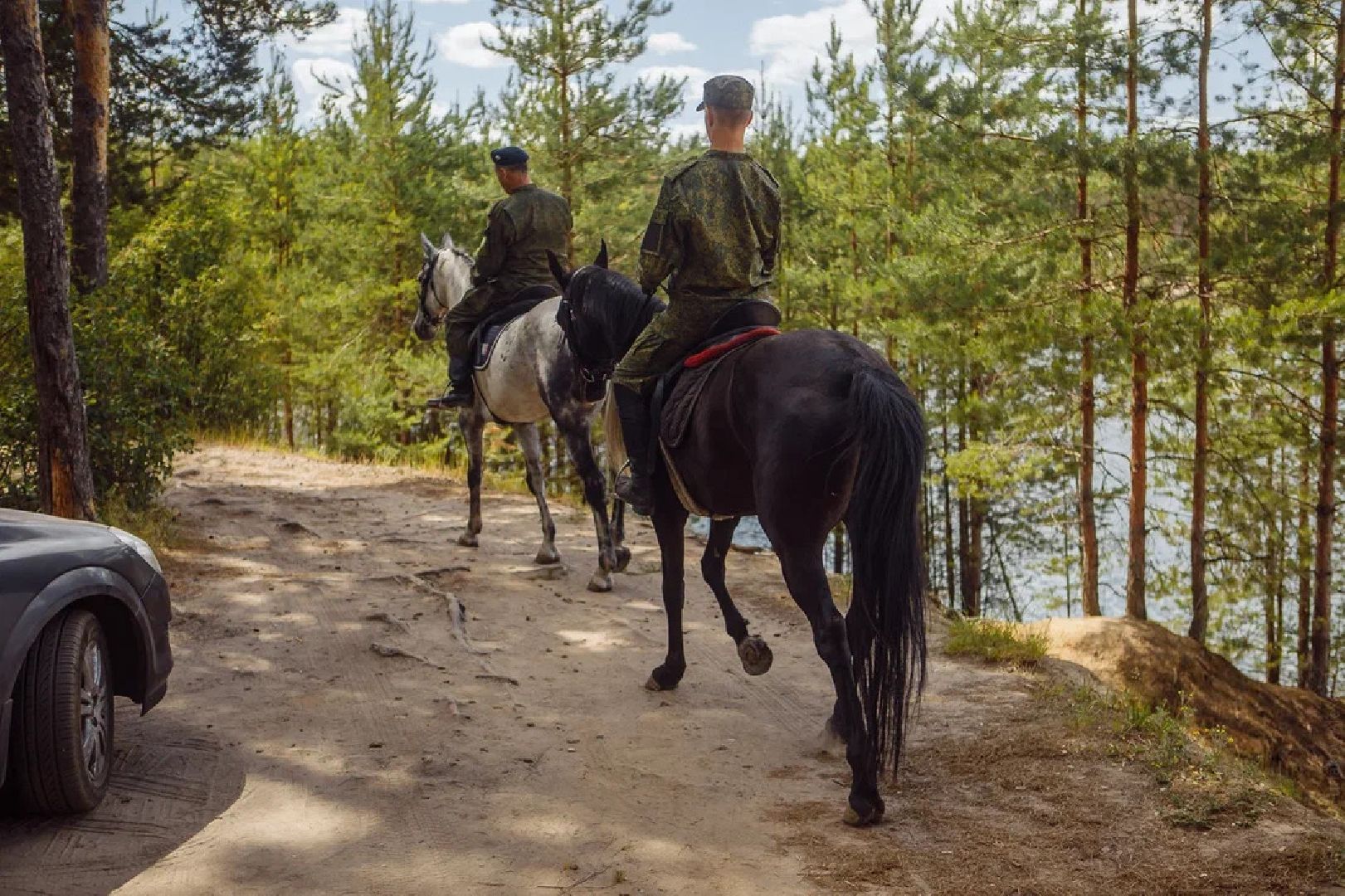 Пожары, казаки, конные патрули, экология, безопасность, Орехово-Зуево, лесничие