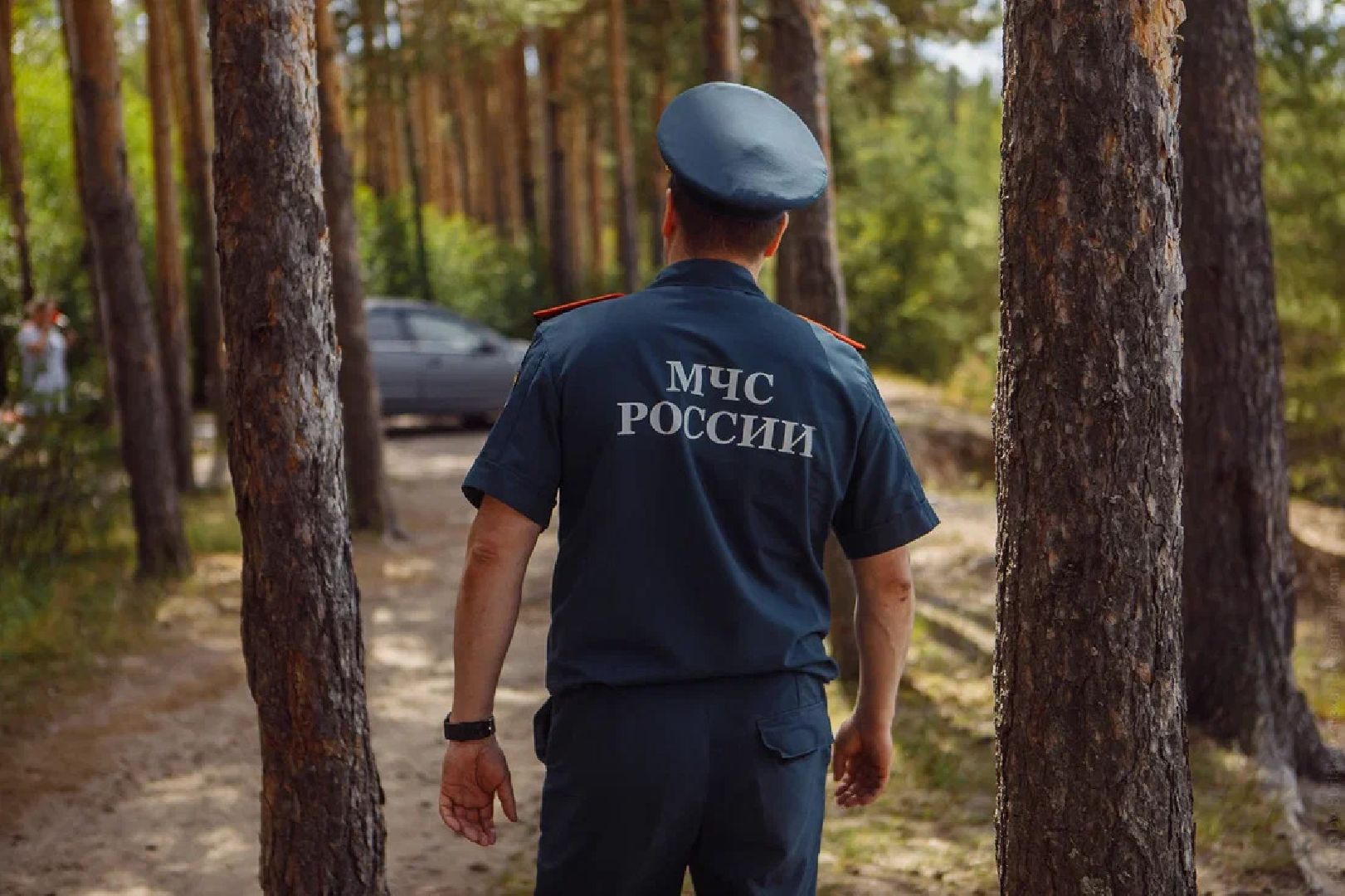 Пожары, казаки, конные патрули, экология, безопасность, Орехово-Зуево, лесничие