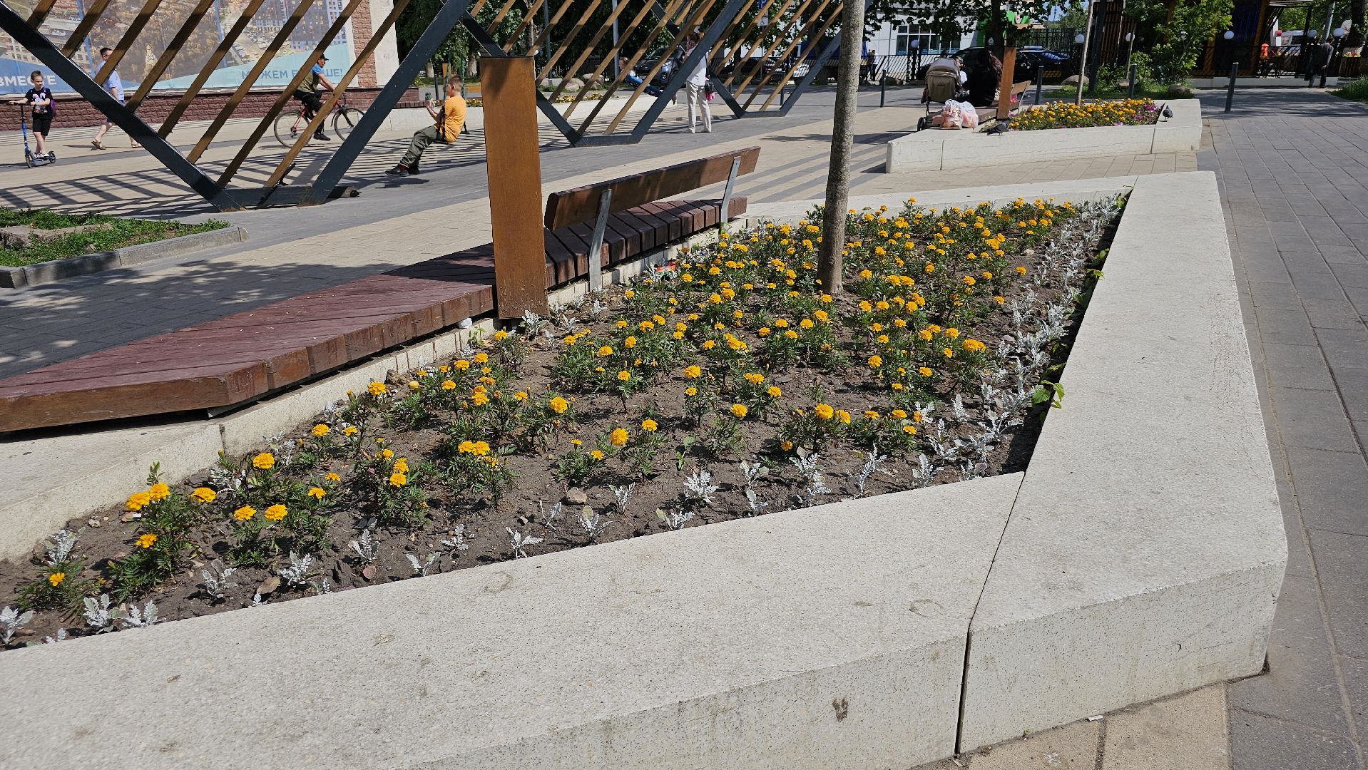 цветники, посадка цветов, уход за растениями, Котельники