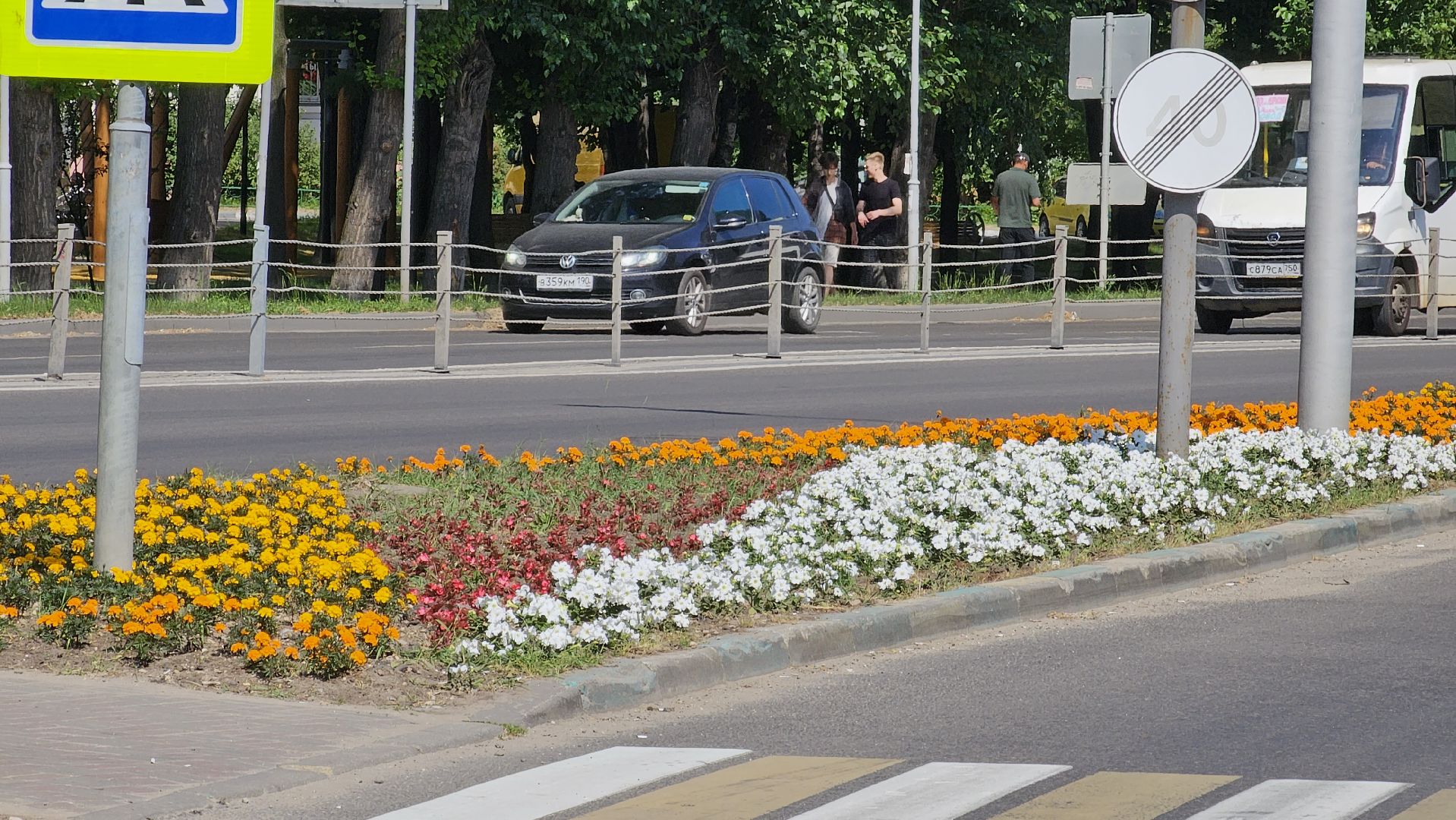 цветники, посадка цветов, уход за растениями, Котельники