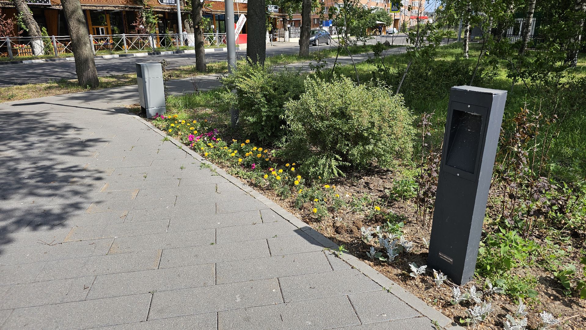 цветники, посадка цветов, уход за растениями, Котельники