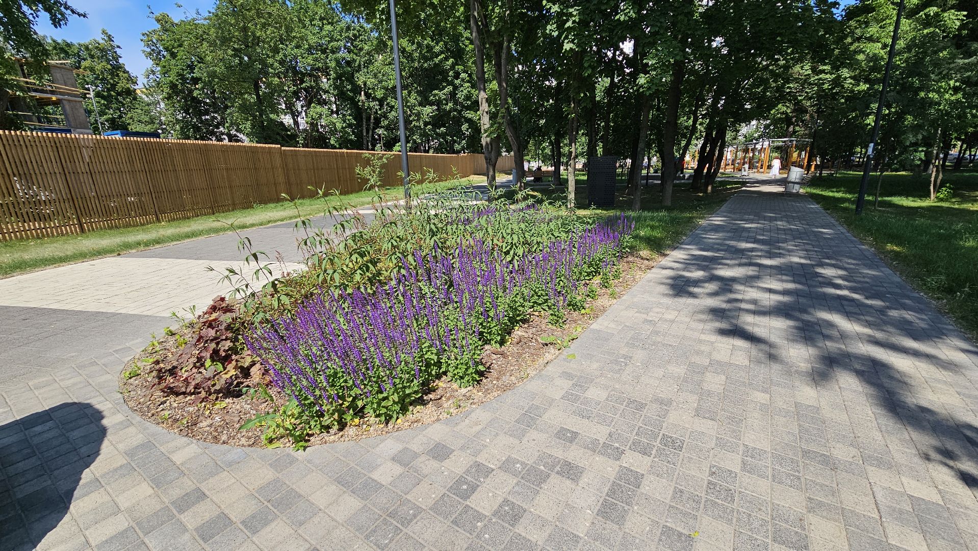 цветники, посадка цветов, уход за растениями, Котельники