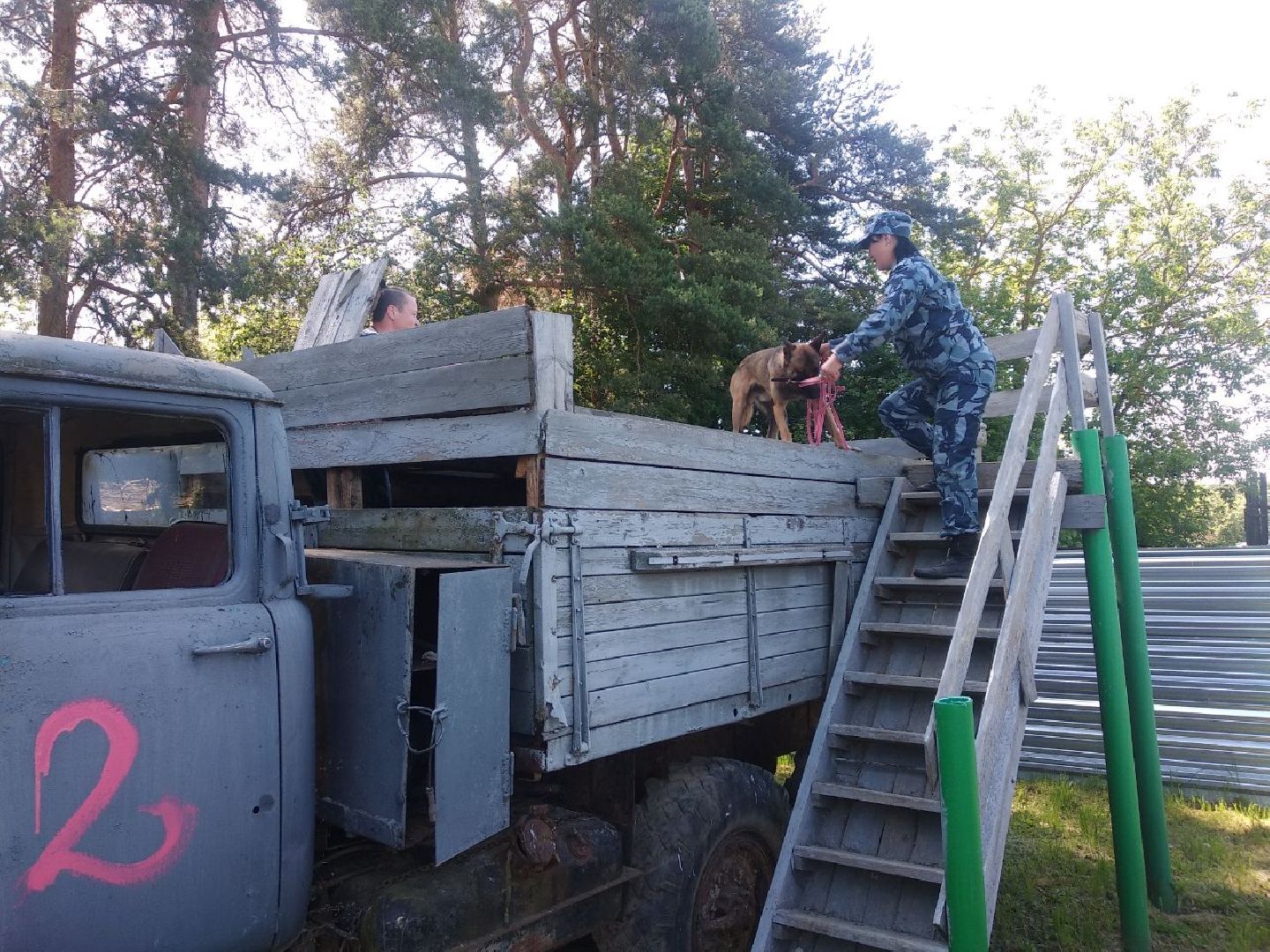 Дмитров, Икшанская колония, кинологи