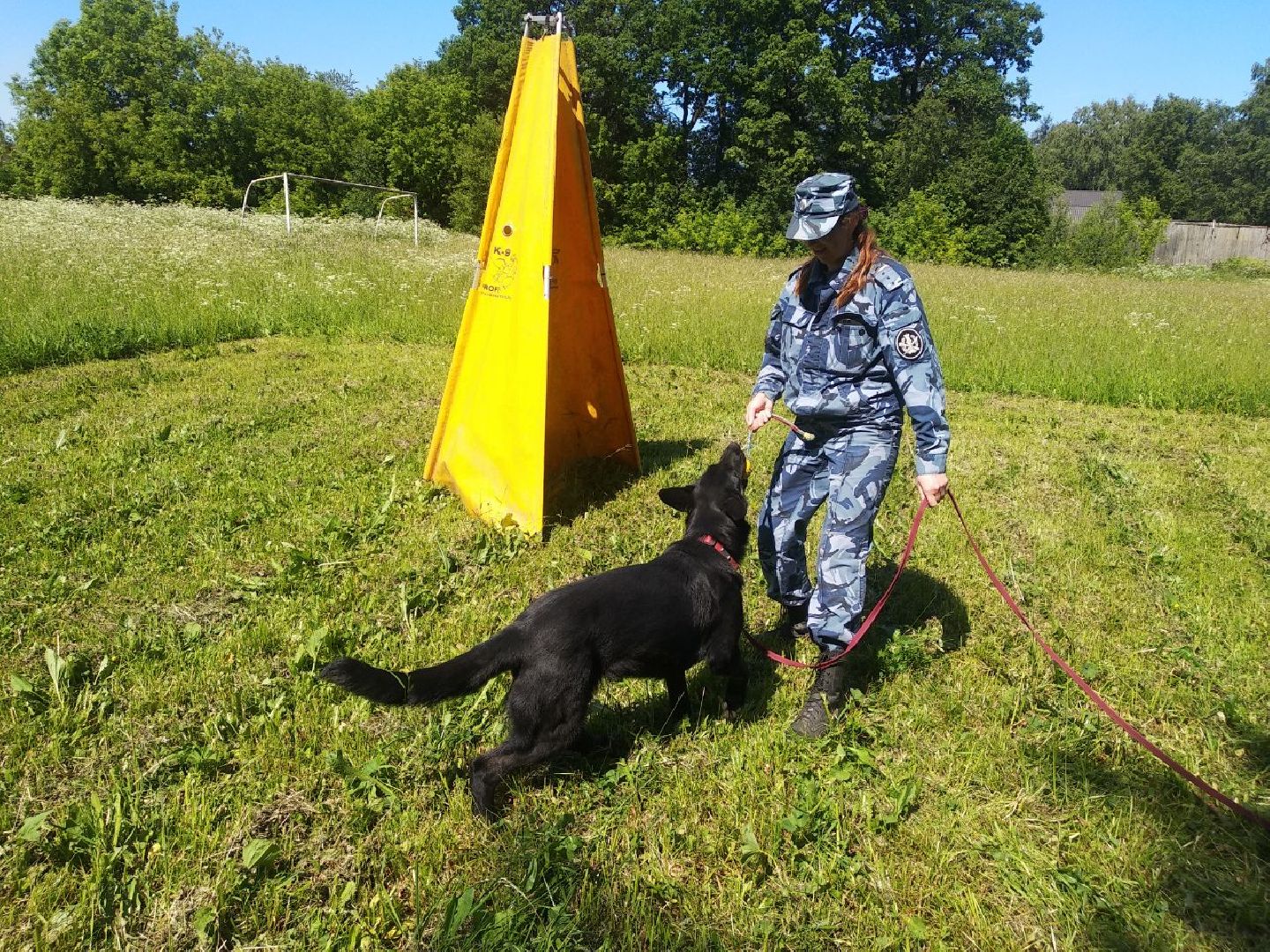 Дмитров, Икшанская колония, кинологи