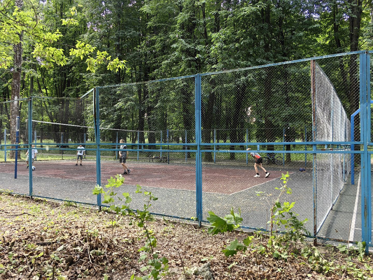 Парк, уборка, пылесос, листья, река