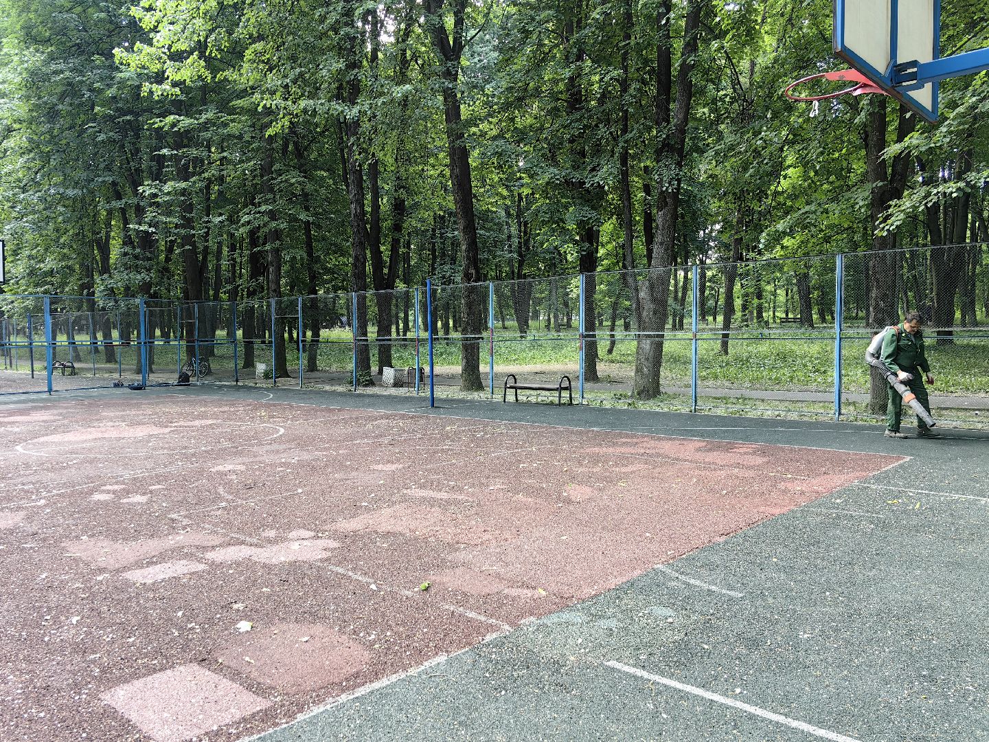 Парк, уборка, пылесос, листья, река