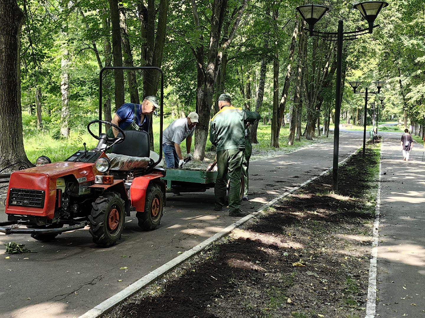 Газон, парк, дизайн, ландшафт