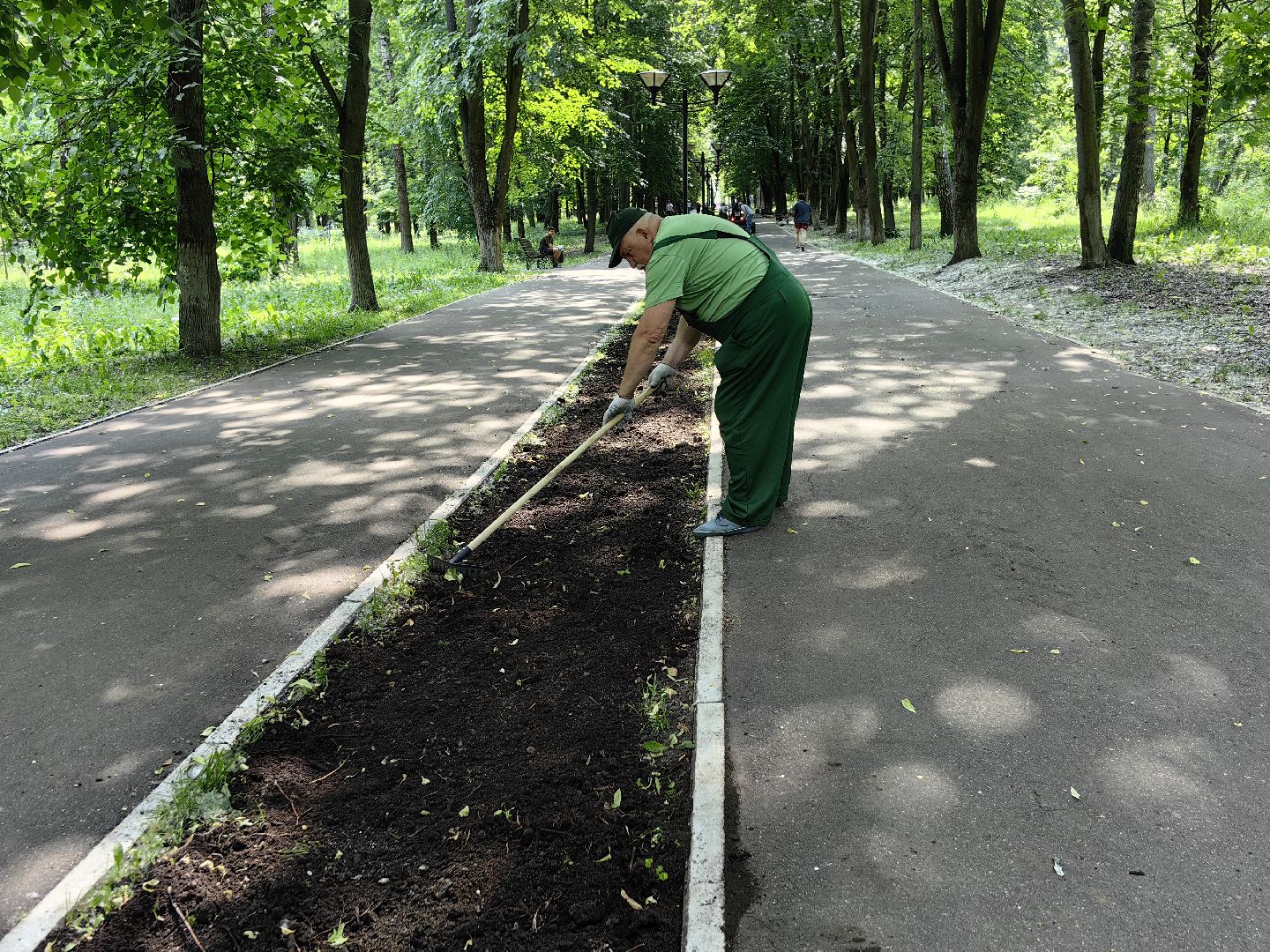 Газон, парк, дизайн, ландшафт