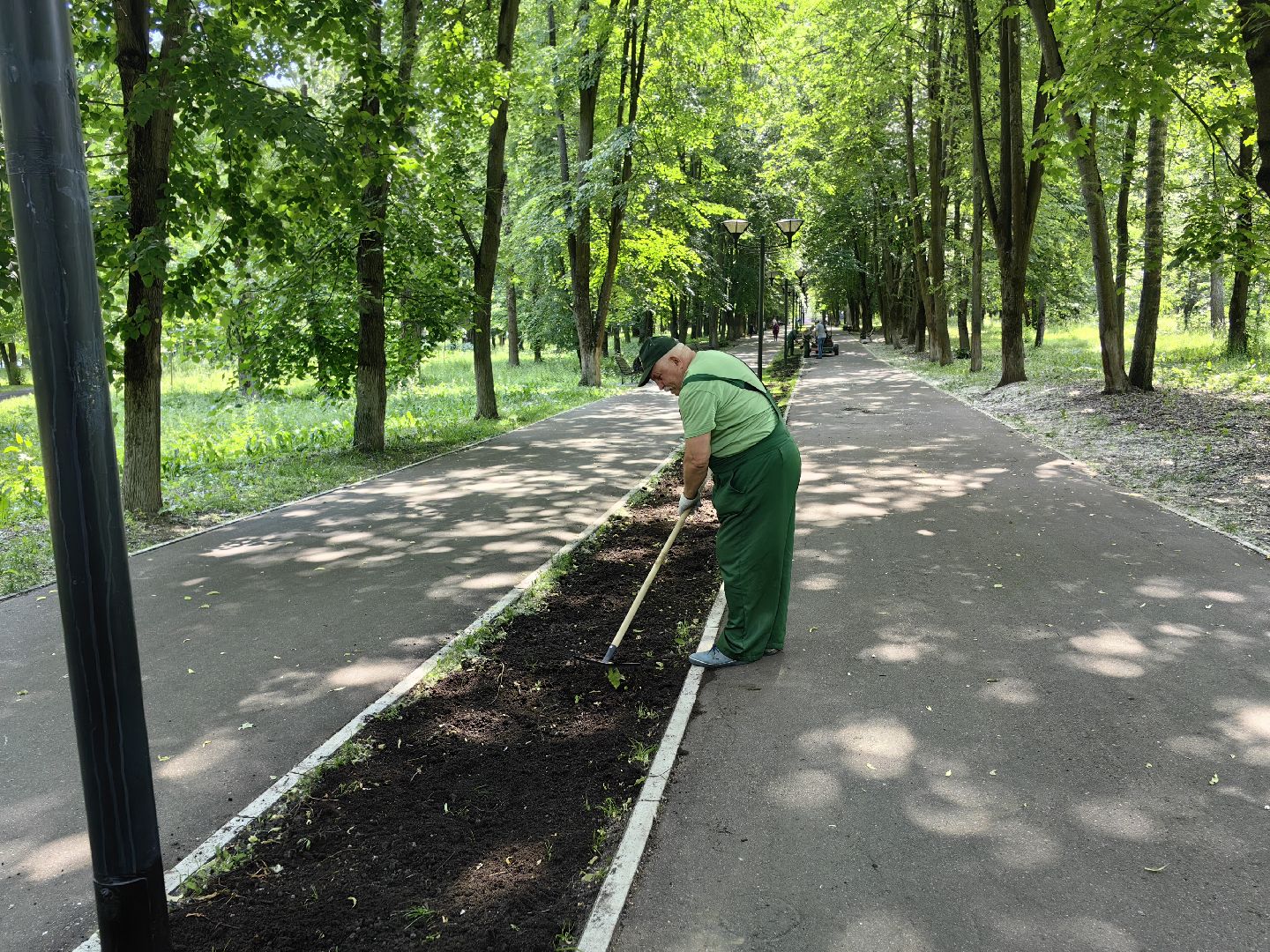 Газон, парк, дизайн, ландшафт