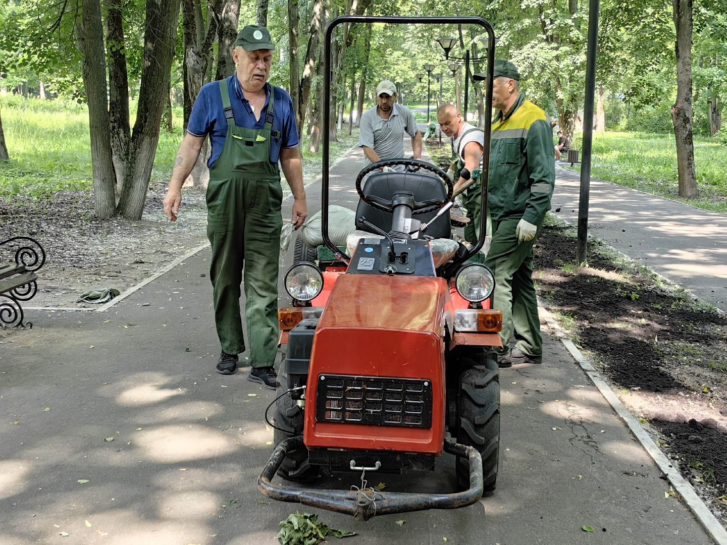 Газон, парк, дизайн, ландшафт