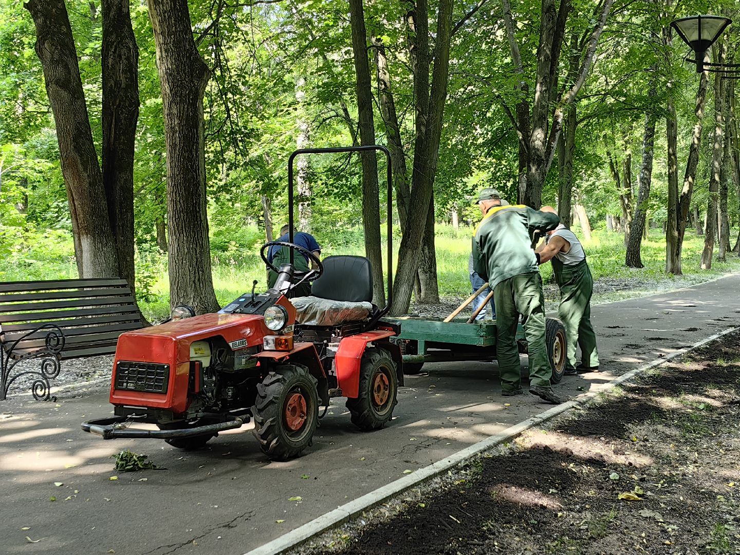 Газон, парк, дизайн, ландшафт