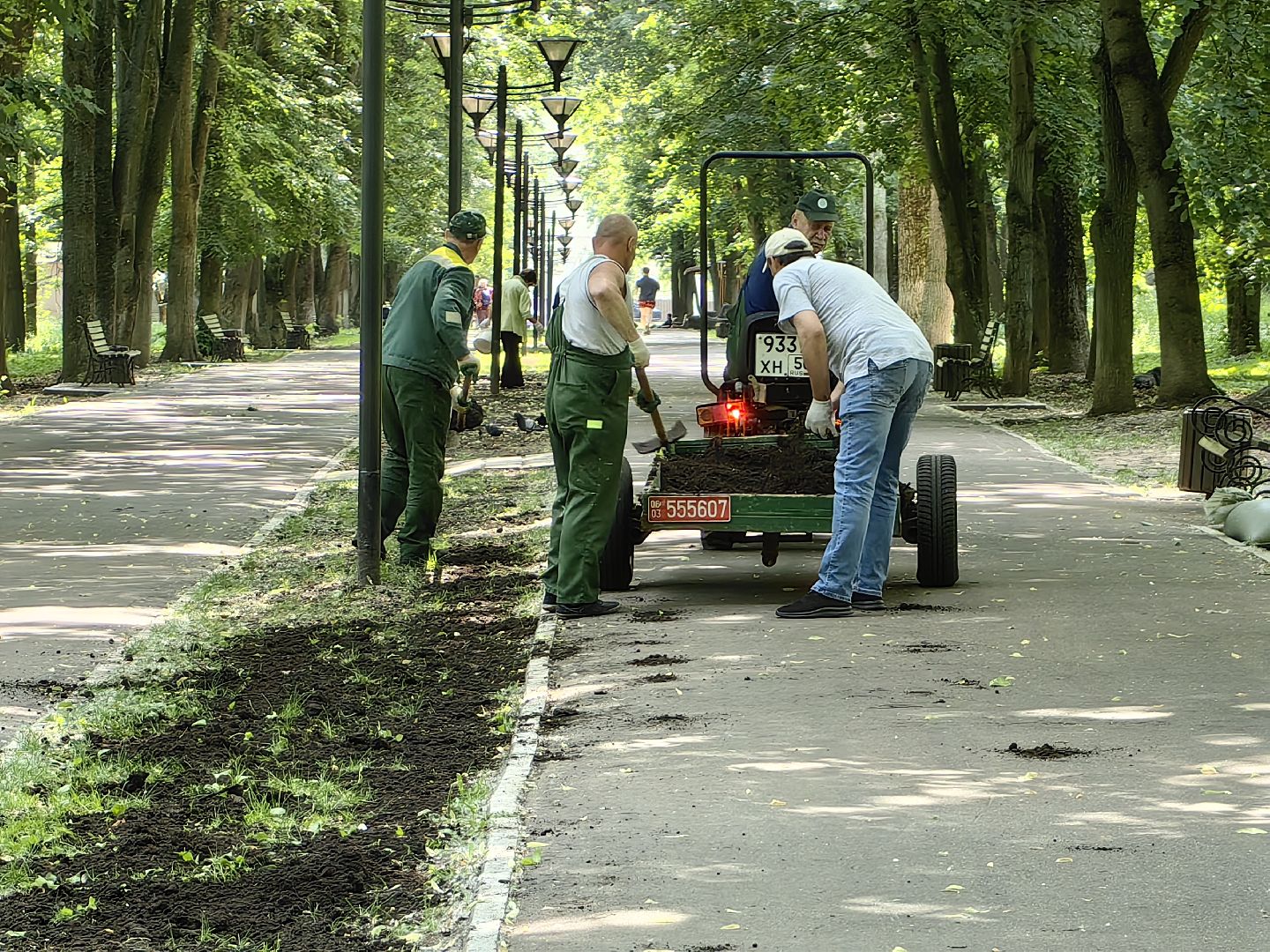 Газон, парк, дизайн, ландшафт