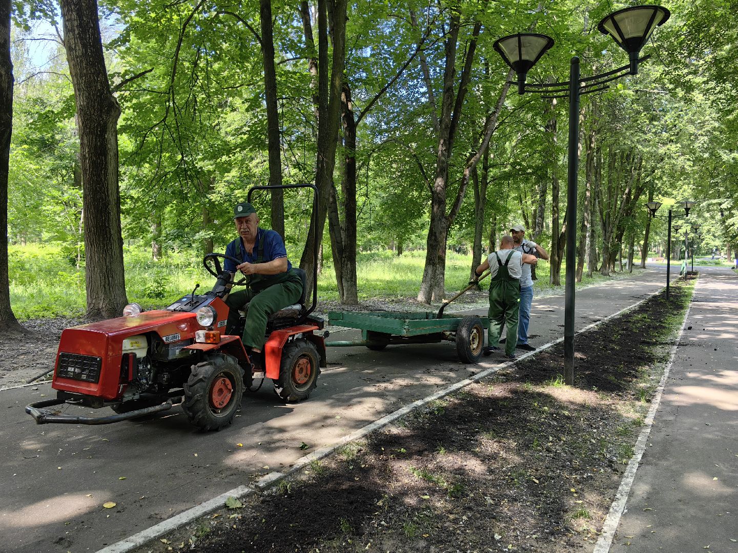 Газон, парк, дизайн, ландшафт