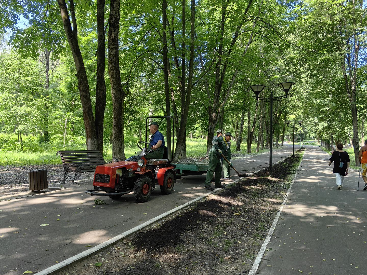 Газон, парк, дизайн, ландшафт