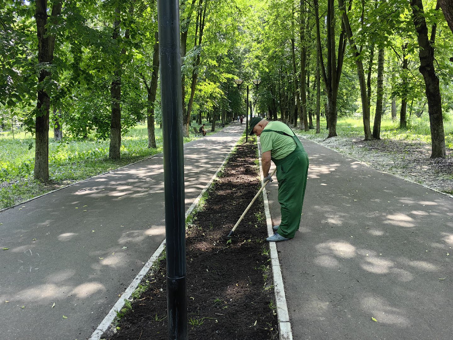 Газон, парк, дизайн, ландшафт