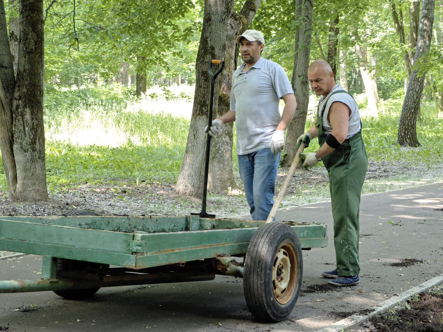 Газон, парк, дизайн, ландшафт