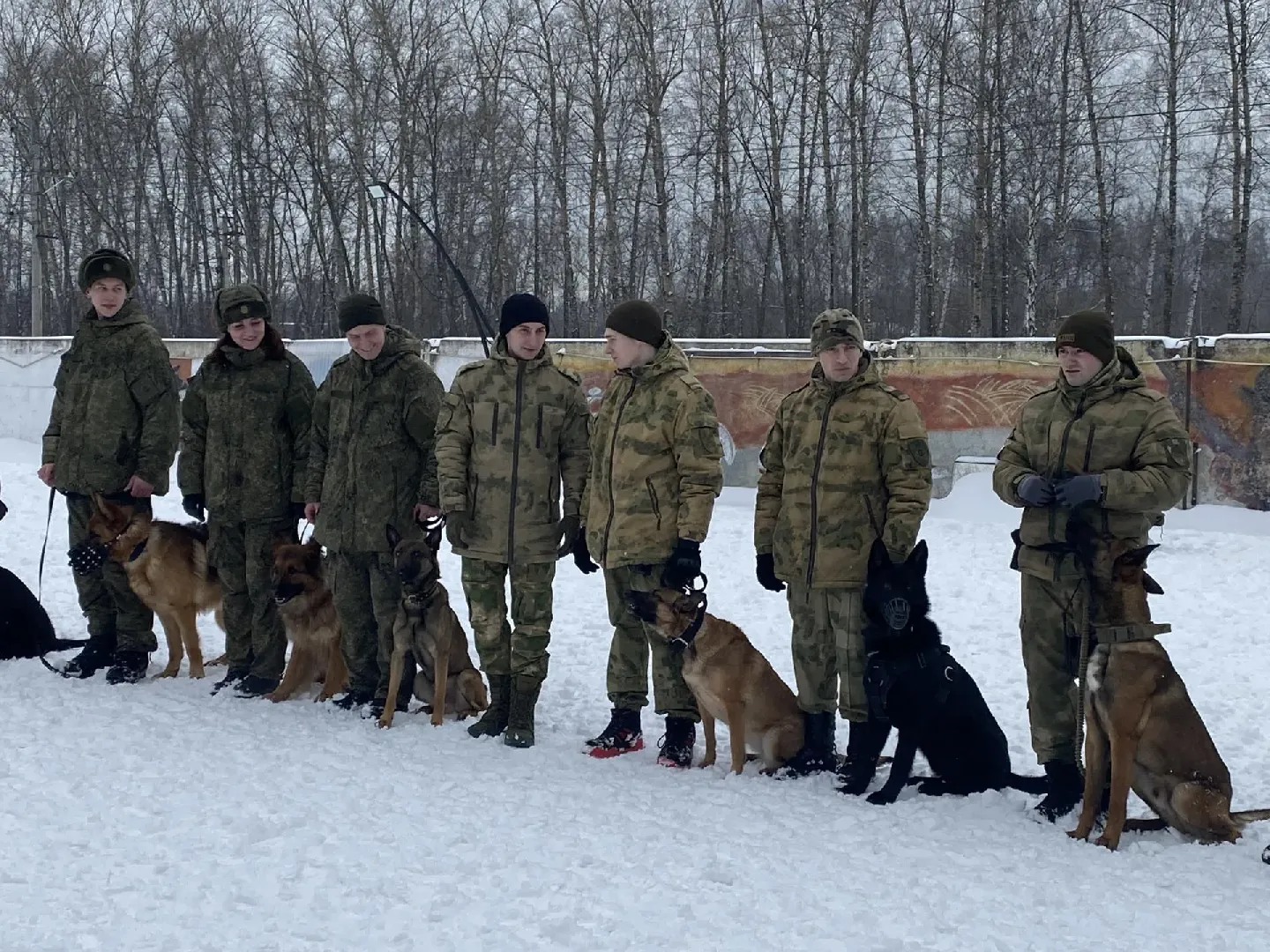 Долгопрудный, кинологи, фронтовая собака, спецназ, диверсанты
