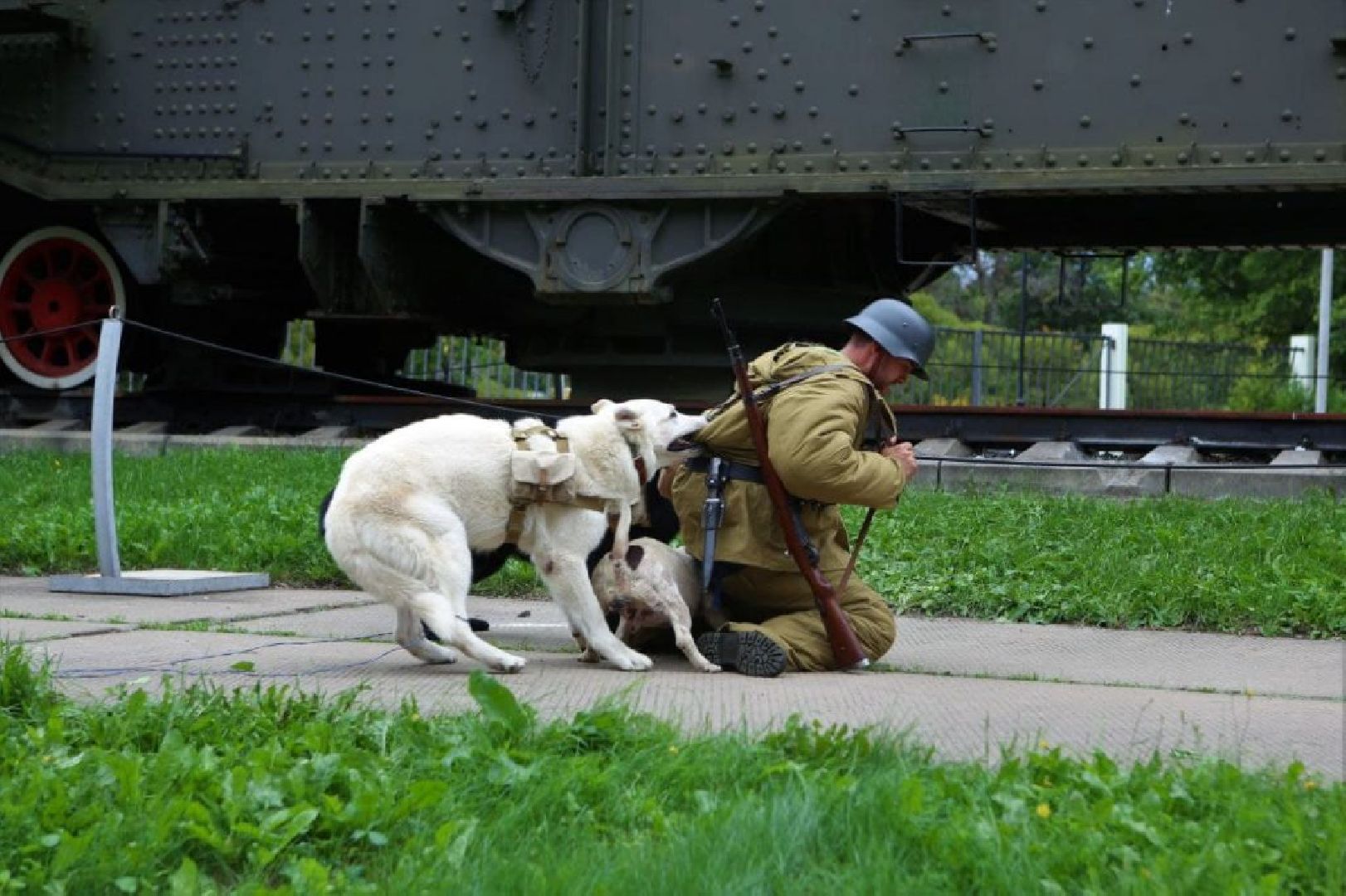 Долгопрудный, кинологи, фронтовая собака, спецназ, диверсанты