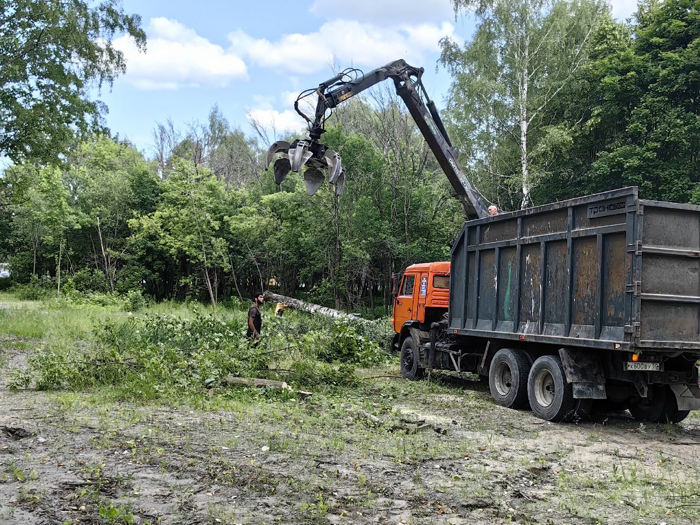 Детская площадка, деревья, территория, спорт, благоустройство