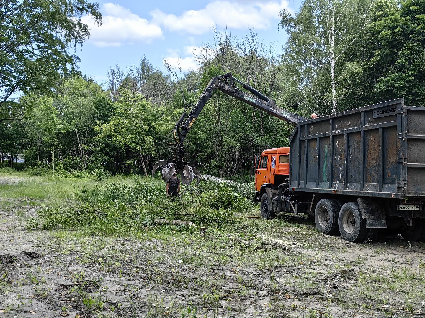Детская площадка, деревья, территория, спорт, благоустройство