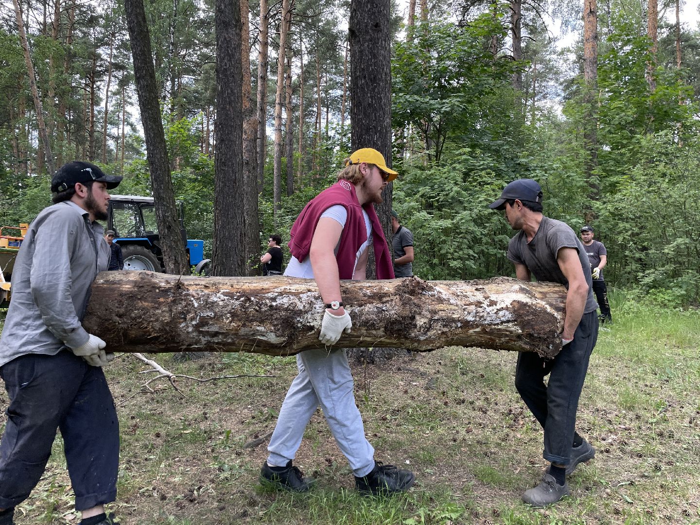 Лес, чистота, акция, люди