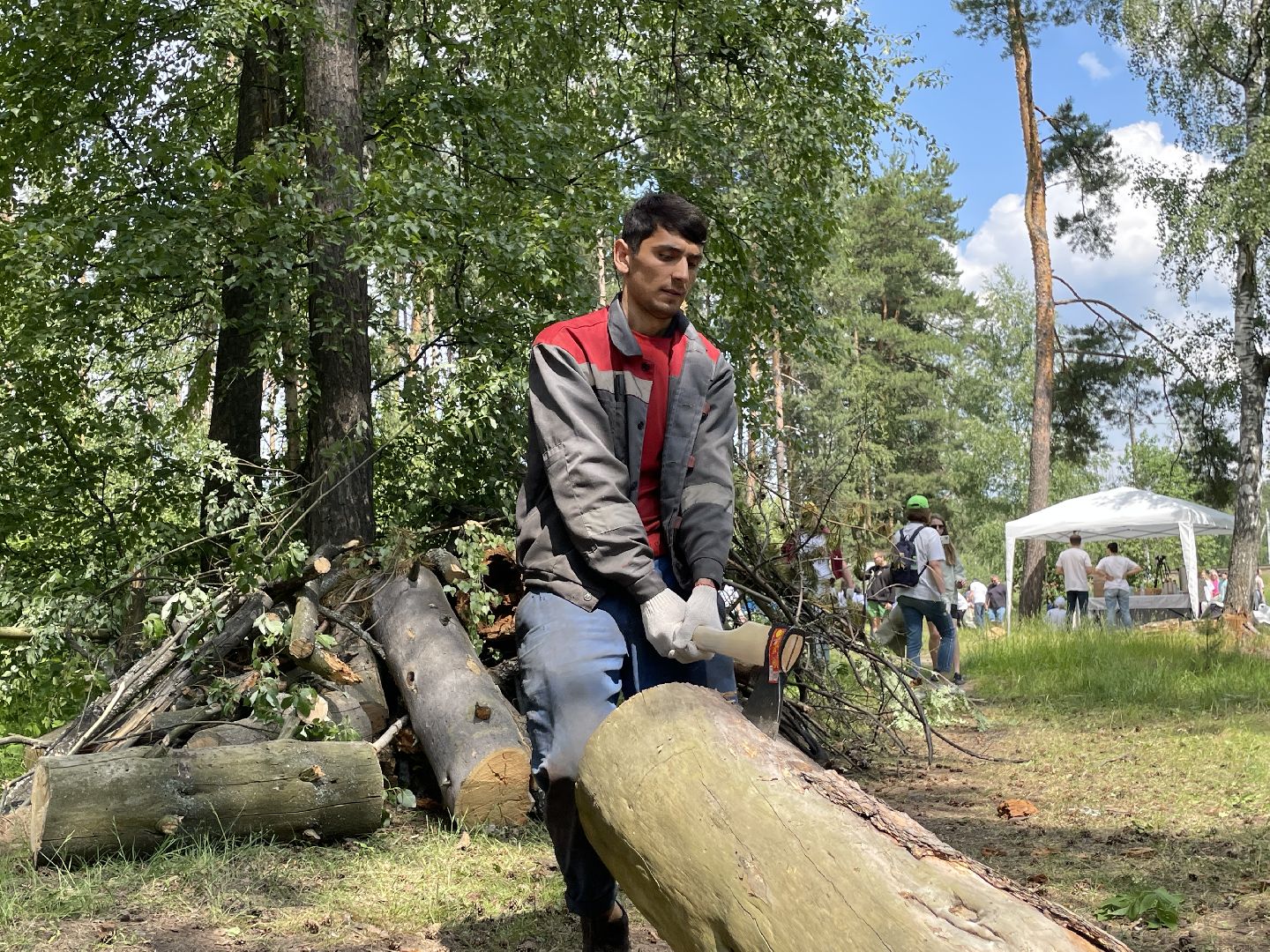 Лес, чистота, акция, люди