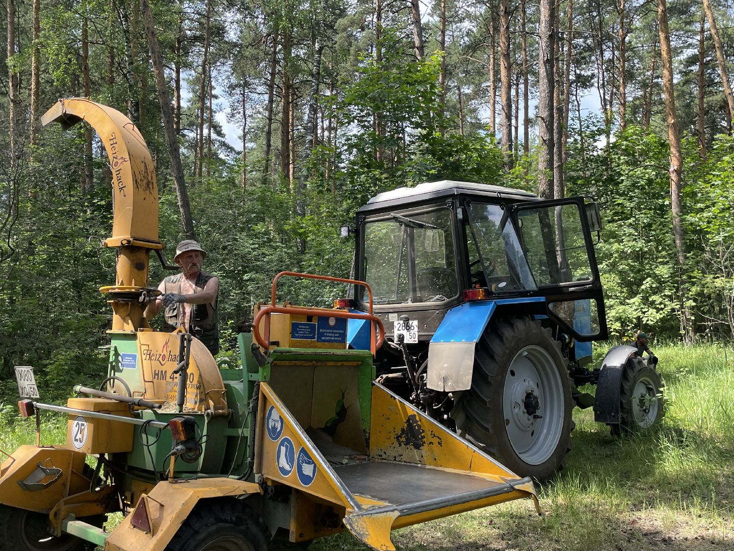 Лес, чистота, акция, люди