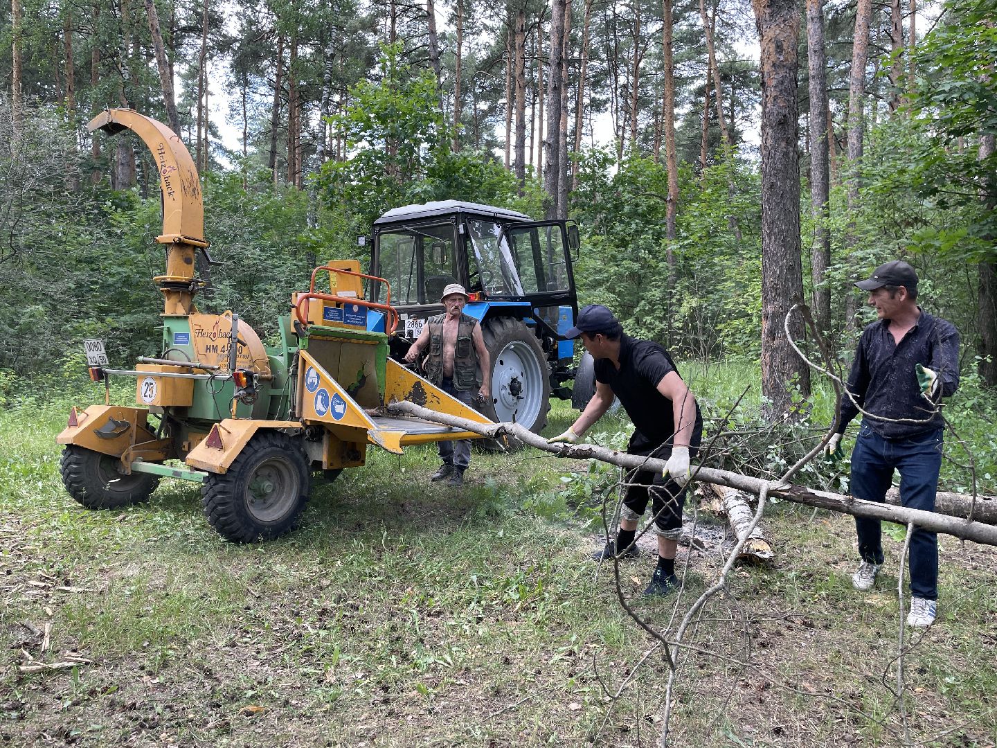 Лес, чистота, акция, люди