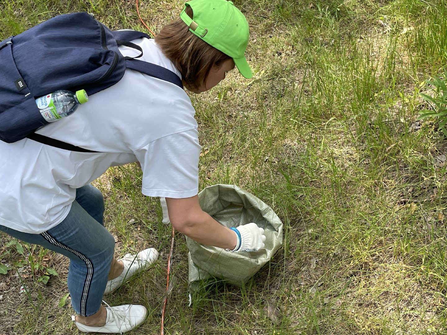 Лес, чистота, акция, люди